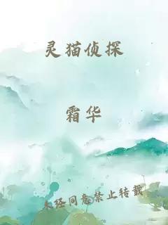 灵猫侦探