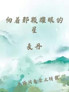 向着那颗耀眼的星